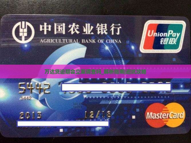 万达贷逾期会立案调查吗