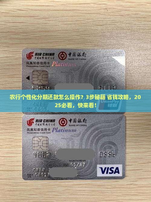 农行怎么协商个性化分期还款