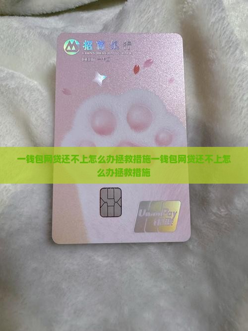一钱包网贷还不上怎么办拯救措施