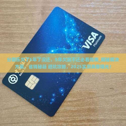 分期乐欠了5年了没还