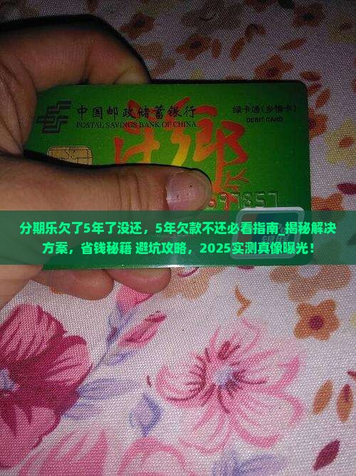 分期乐欠了5年了没还