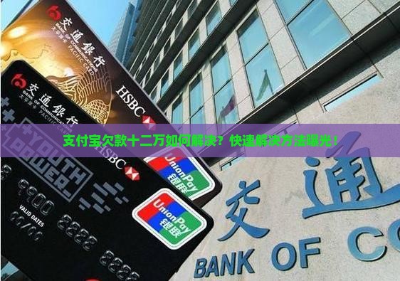 支付宝欠款十二万如何解决