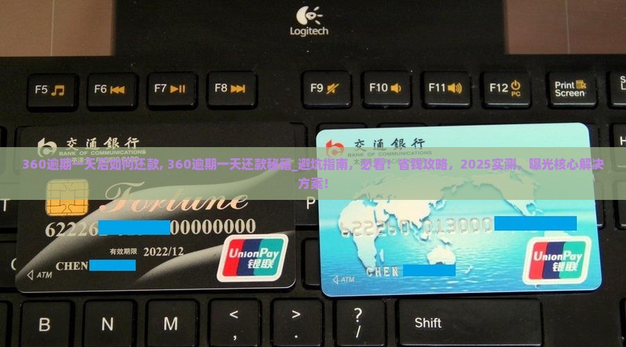 360逾期一天后如何还款