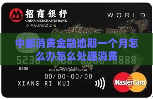 中邮消费金融逾期一月怎么办