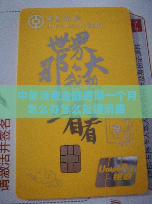 中邮消费金融逾期一月怎么办