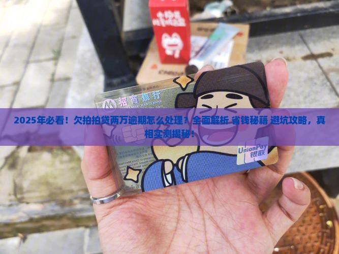 欠拍拍贷两万逾期怎么处理