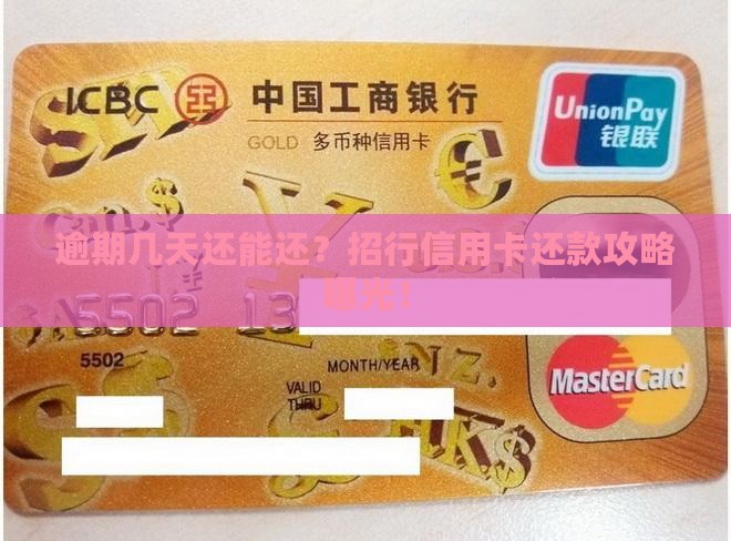 招行信用卡逾期几天还能还款