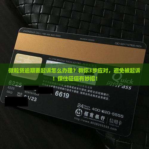 微粒贷逾期要起诉怎么办理