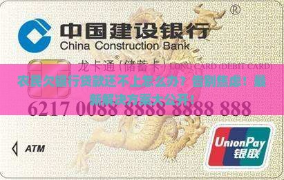 农民欠银行贷款还不上怎么处理