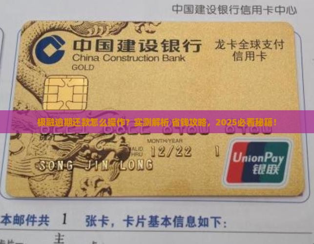 极融逾期还款流程和方式