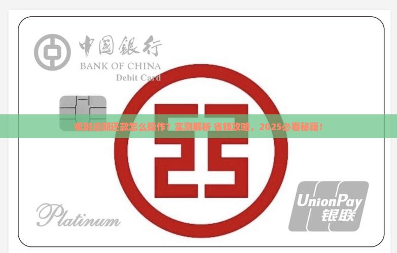 极融逾期还款流程和方式