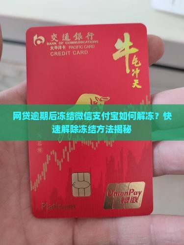 网贷逾期后冻结微信支付宝如何解冻
