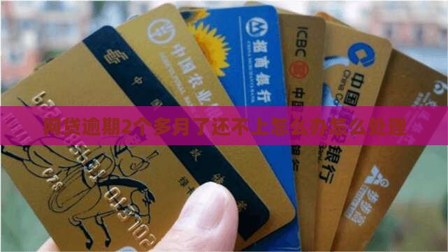 网贷逾期2个多月了还不上怎么办
