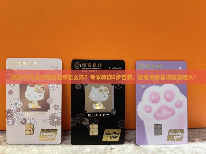 贷款70万无力偿还应该怎么办