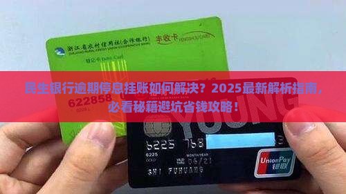 民生银行逾期停息挂账解决方法