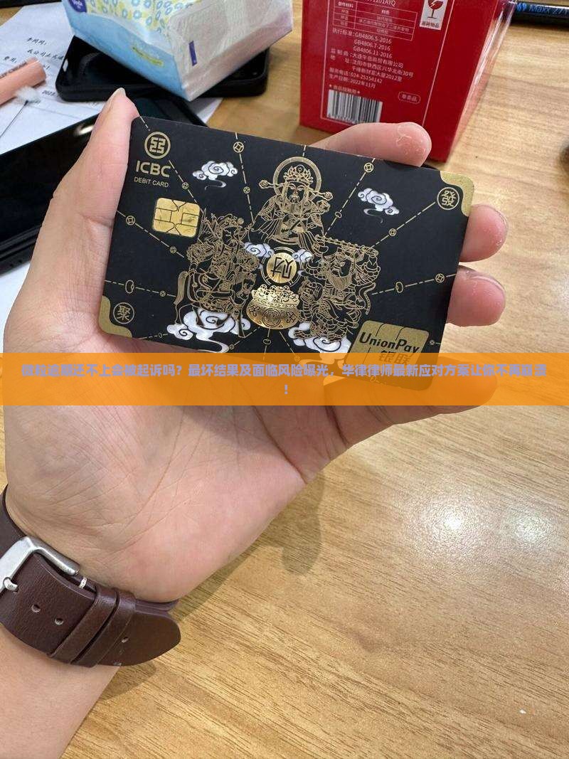 欠微粒贷还不上被起诉吗