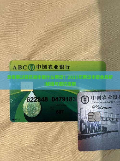 负债率过高还能申请什么网贷