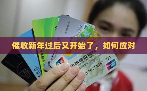 新年一过催收又开始了如何应对 新年一过催收又开始了如何应对