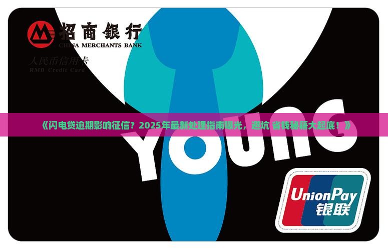 闪电贷不还能上征信吗如何处理