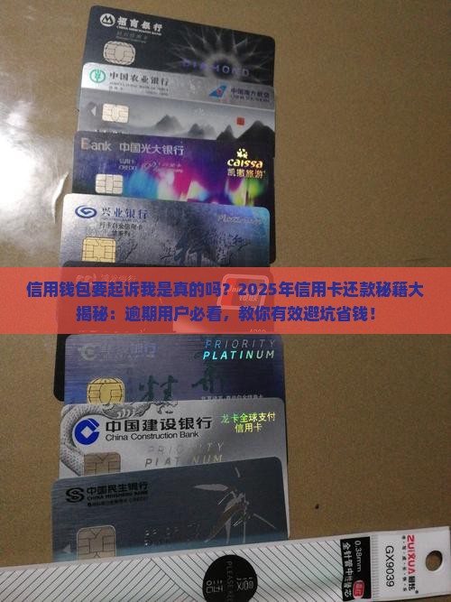 信用钱包要起诉我是真的吗