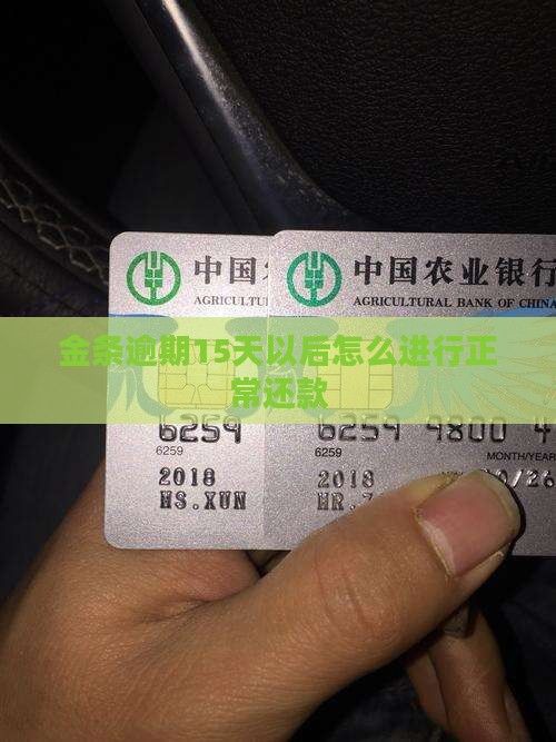 金条逾期15天以后怎么正常还款 金条逾期15天以后怎么正常还款