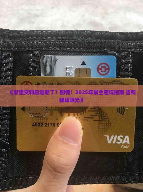浙里贷利息逾期未还怎么办才好