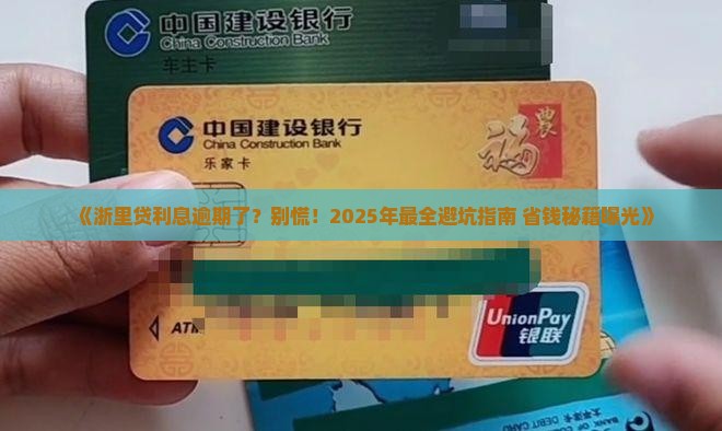 浙里贷利息逾期未还怎么办才好
