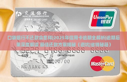 口袋银行不还款会怎样