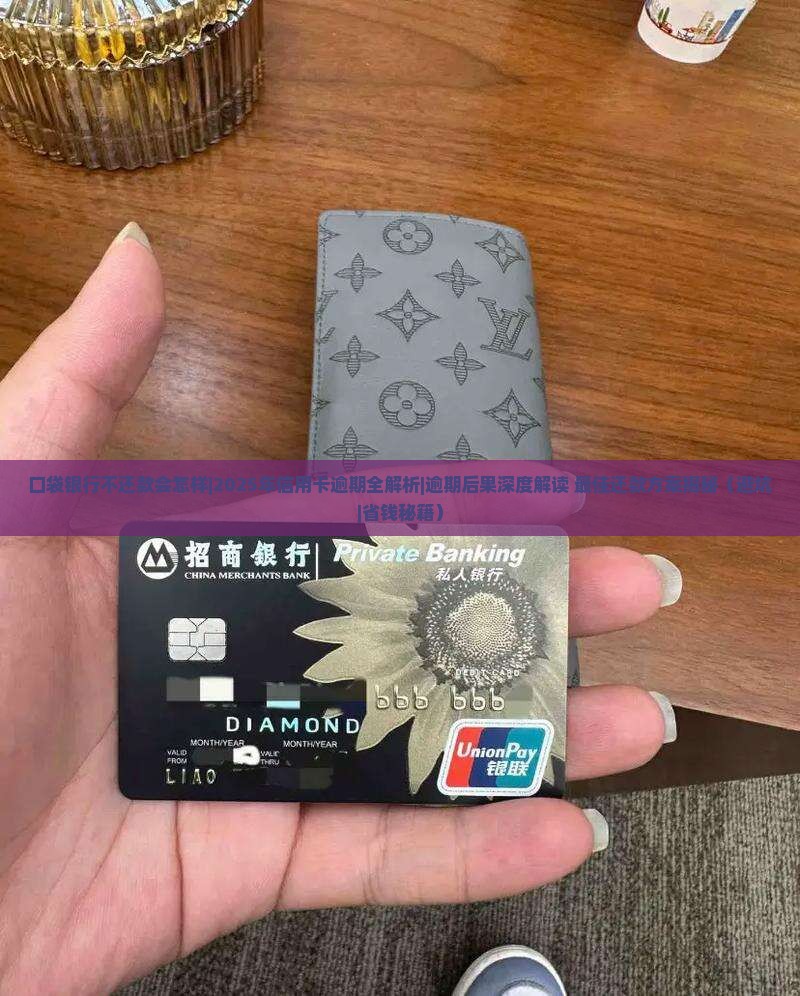 口袋银行不还款会怎样