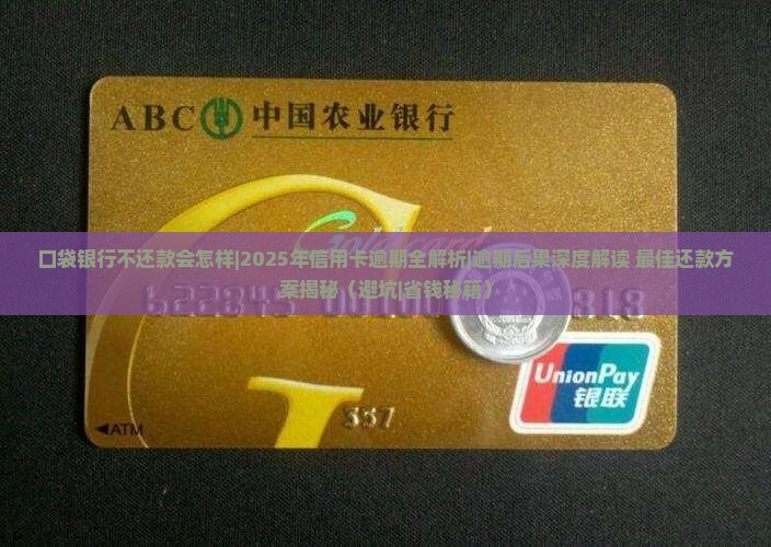 口袋银行不还款会怎样