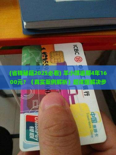 羊小咩逾期4年1600元该怎么处理