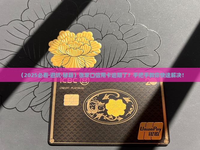 张家口信用卡逾期怎么办理