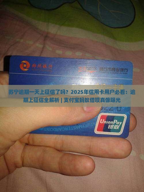 苏宁逾期一天上征信了吗