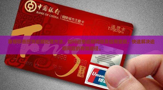 惠懂你善担贷逾期处理方法