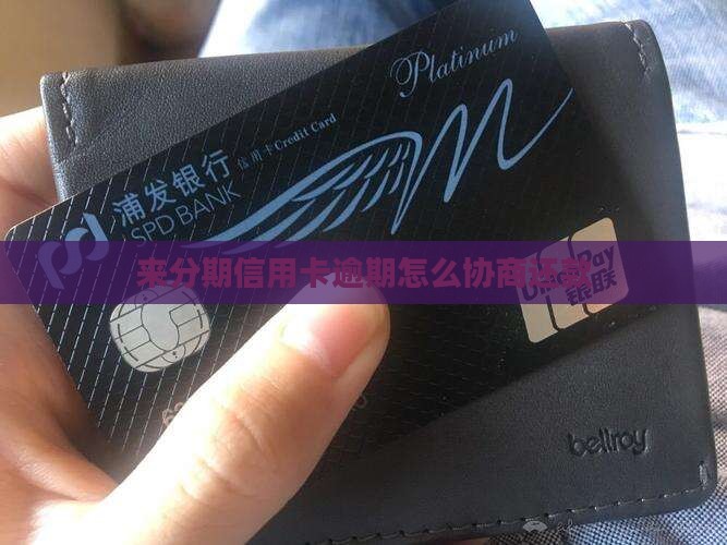 来分期信用卡逾期如何协商解决