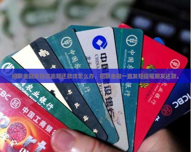 招联金融发短信逾期还款该怎么办