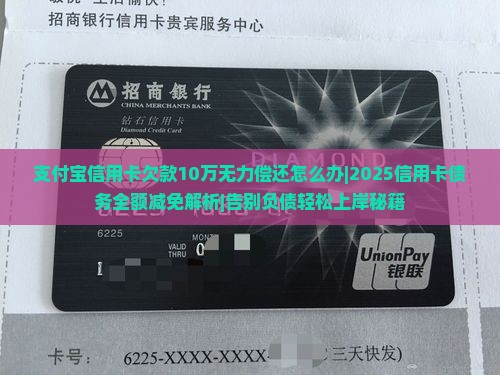 支付宝信用卡欠款10万无力偿还怎么办