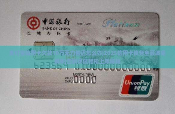 支付宝信用卡欠款10万无力偿还怎么办