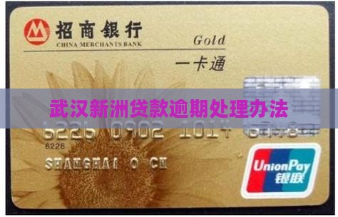 武汉新洲贷款逾期怎么办