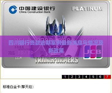 四川银行贷款逾期案例最新