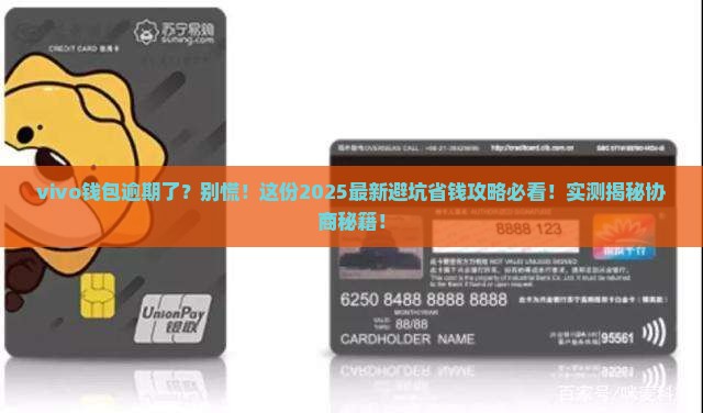 vivo钱包逾期有协商成功的吗怎么办理