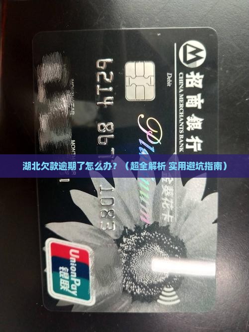 湖北欠款逾期如何协商
