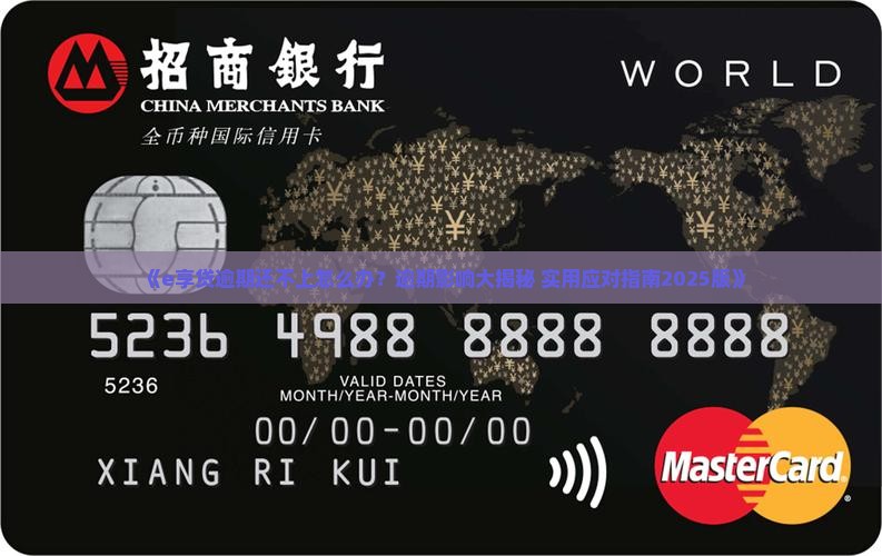 e享贷逾期还不上怎么办