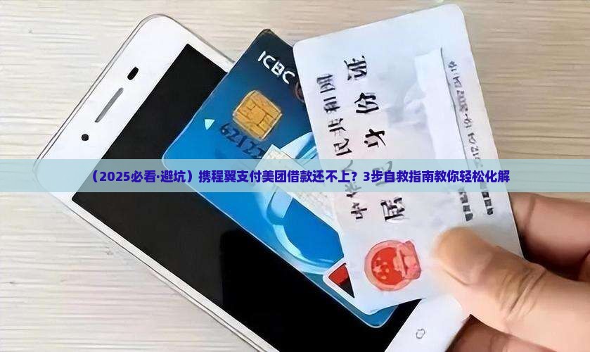 携程翼支付美团借款还不上