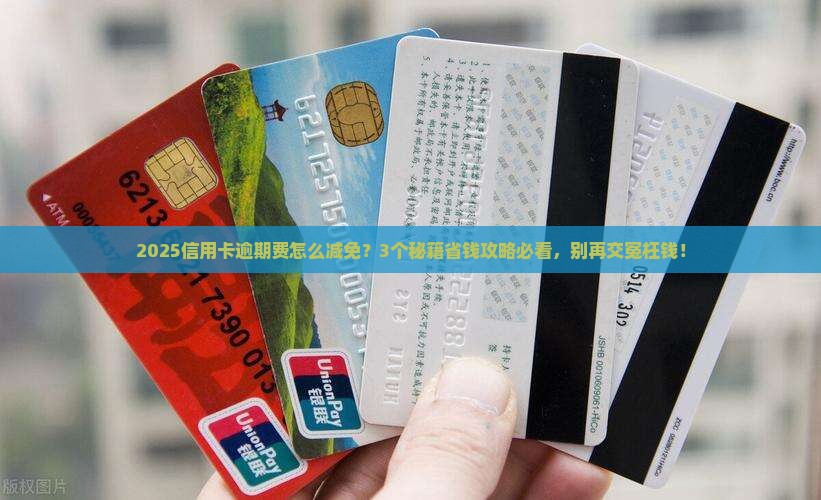 怎么样减免信用卡逾期费