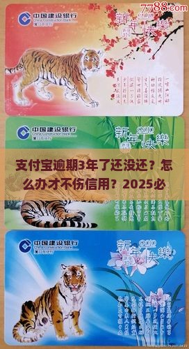 支付宝逾期有3年的吗怎么处理