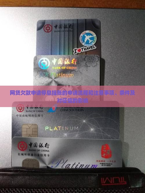 网贷欠款申请停息挂账的申请流程和注意事项