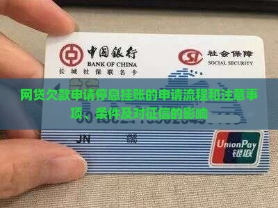 网贷欠款申请停息挂账的申请流程和注意事项