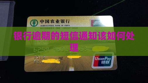 银行逾期的短信通知该如何处理