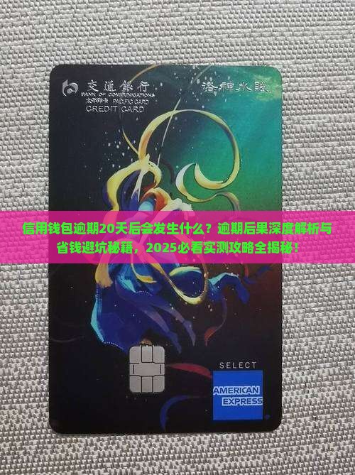 信用钱包逾期20天后会发生什么